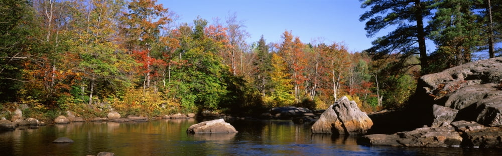 USA New York Adirondack State Park Adirondack Mountains Deciduous trees along Moose River Canvas Art - Panoramic Images (36 x 12)