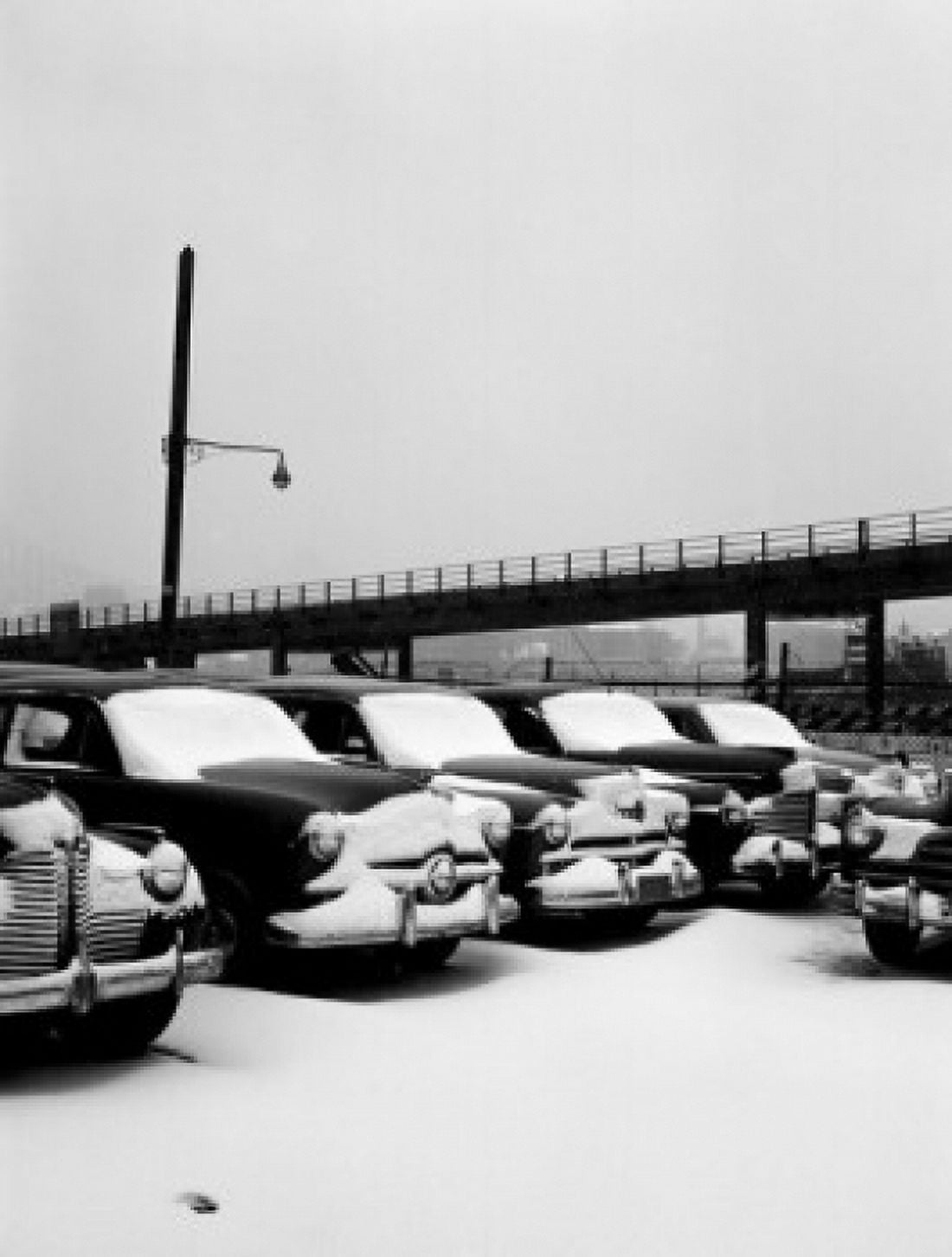 USA New York City Cars covered by snow Canvas Art - (24 x 36)