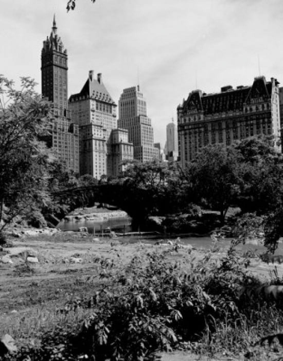 USA New York City Central Park Canvas Art - (18 x 24)
