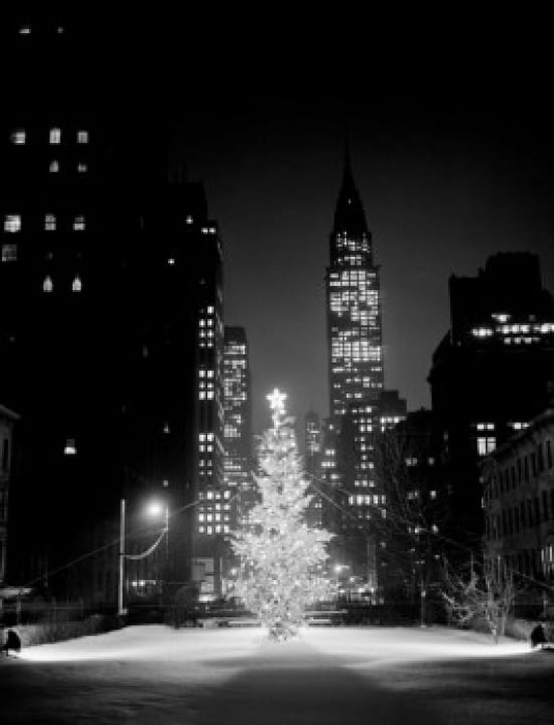 USA New York City Christmas tree in street at night Canvas Art - (24 x 36)