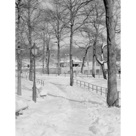 USA New York City Manhattan Central Park snowy path Canvas Art - (18 x 24)
