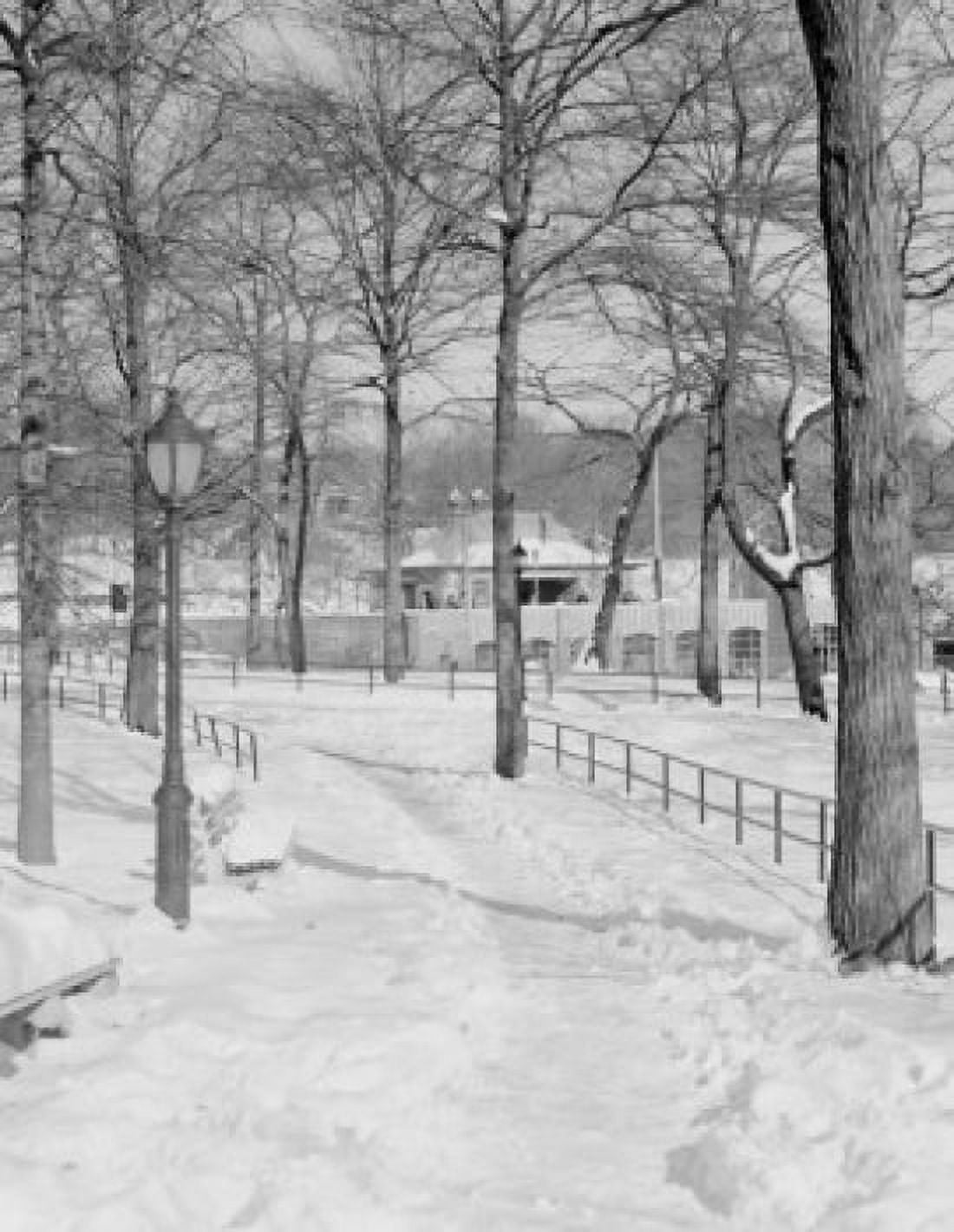 USA New York City Manhattan Central Park snowy path Canvas Art - (24 x 36)