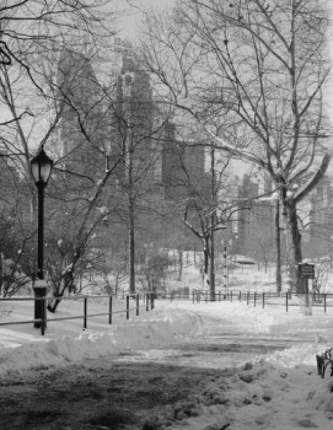 USA New York City Manhattan Central Park winter Canvas Art - (18 x 24)