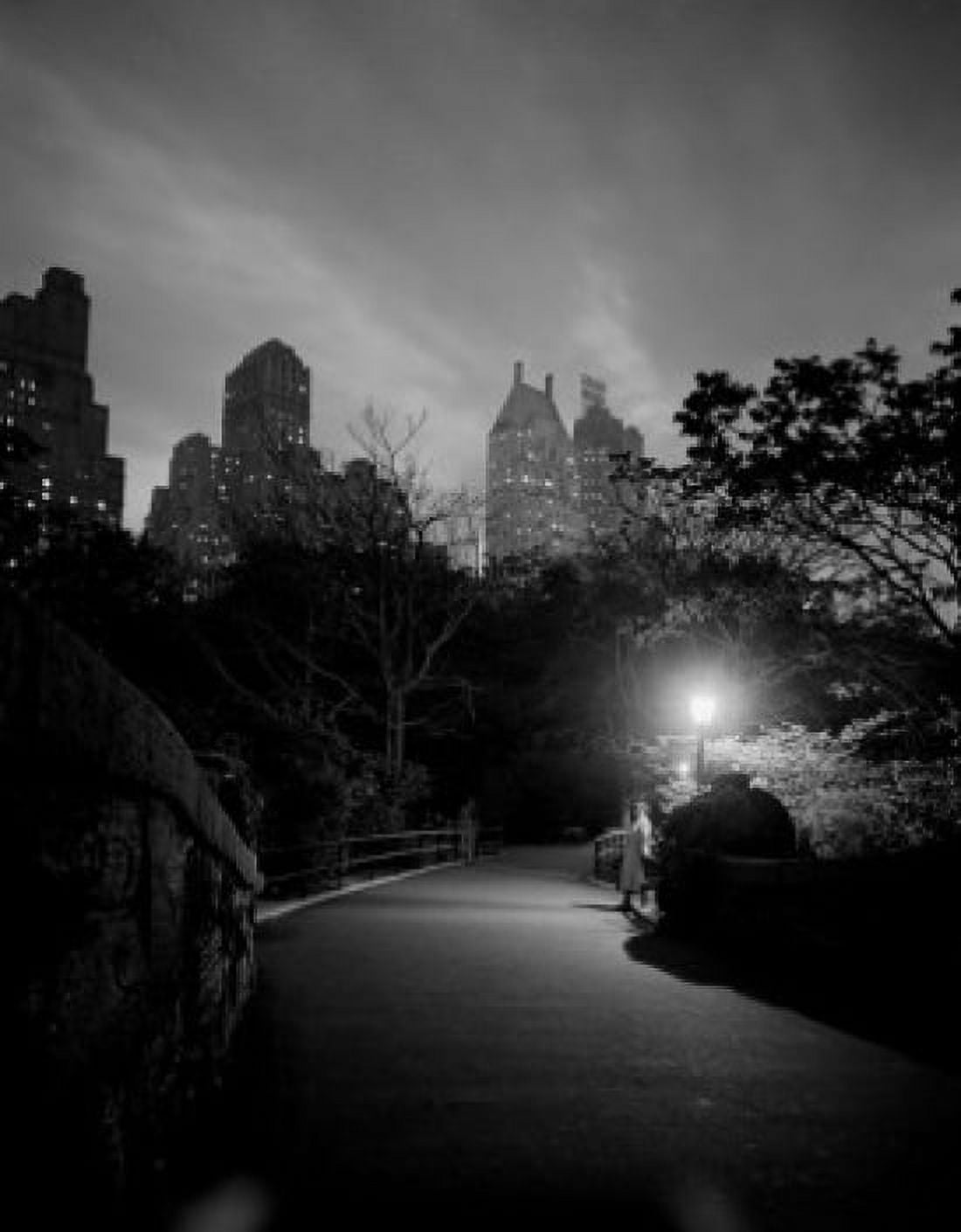 USA New York City Manhattan Night scene in Central Park Canvas Art - (18 x 24)