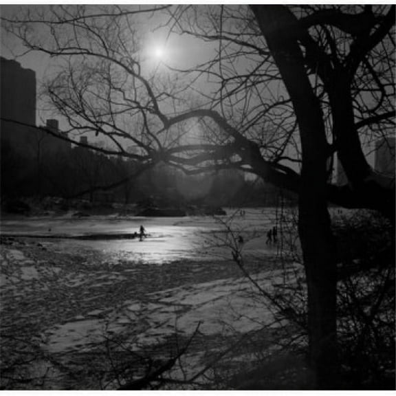 USA New York City Manhattan Winter Sunset in Central Park Poster Print - 18 x 24 in.