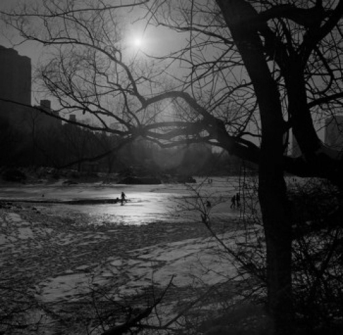 USA New York City Manhattan Winter sunset in Central Park Canvas Art - (24 x 36)