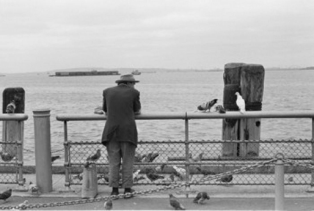 USA New York City man and pigeons on pie Canvas Art - (24 x 36)
