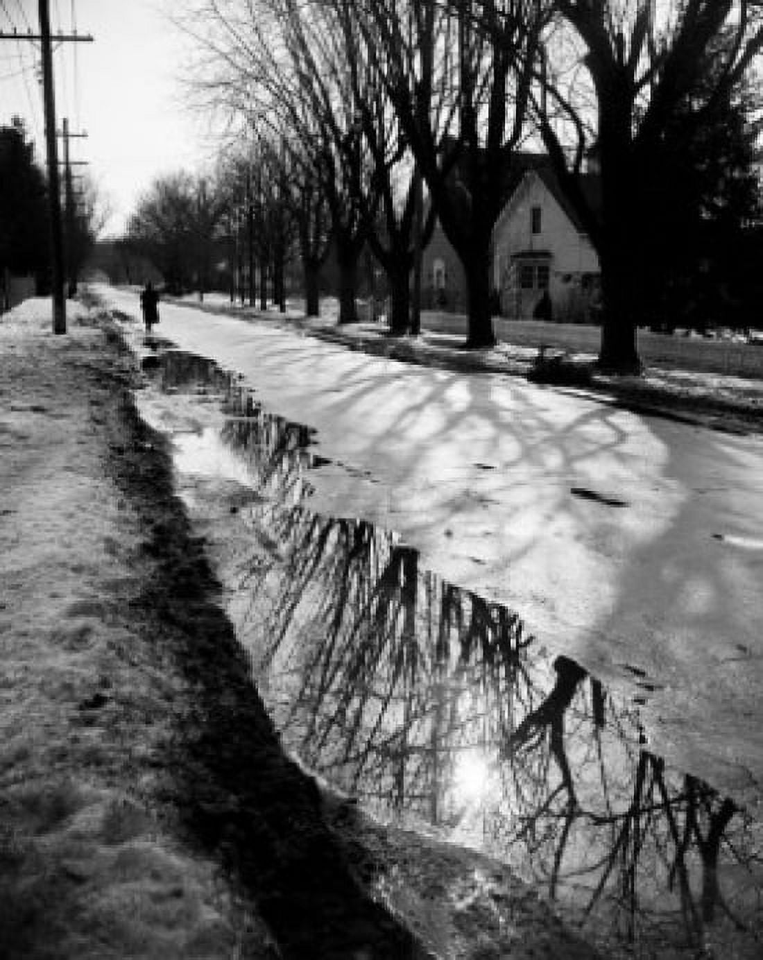 USA New York Long Island Amityville Street reflections on Bay view Avenue Canvas Art - (24 x 36)