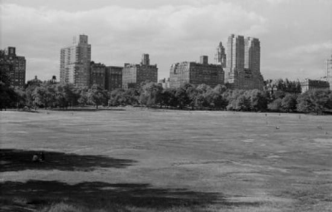 USA New York New York City Central Park Sheep Meadow with city skyline in background Canvas Art - (18 x 24)