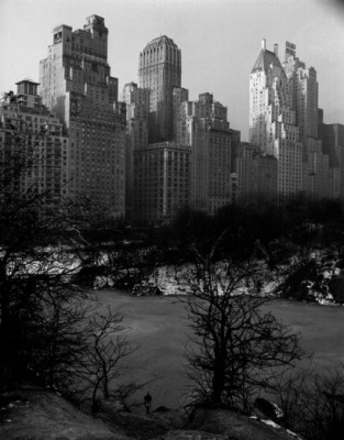 USA New York New York City skyline from Central Park Canvas Art - (24 x 36)