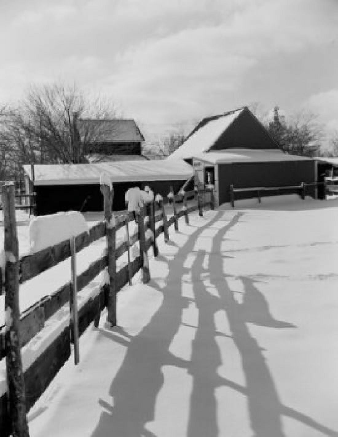 USA New York State Long Island Amityville farm winter scene Canvas Art - (18 x 24)