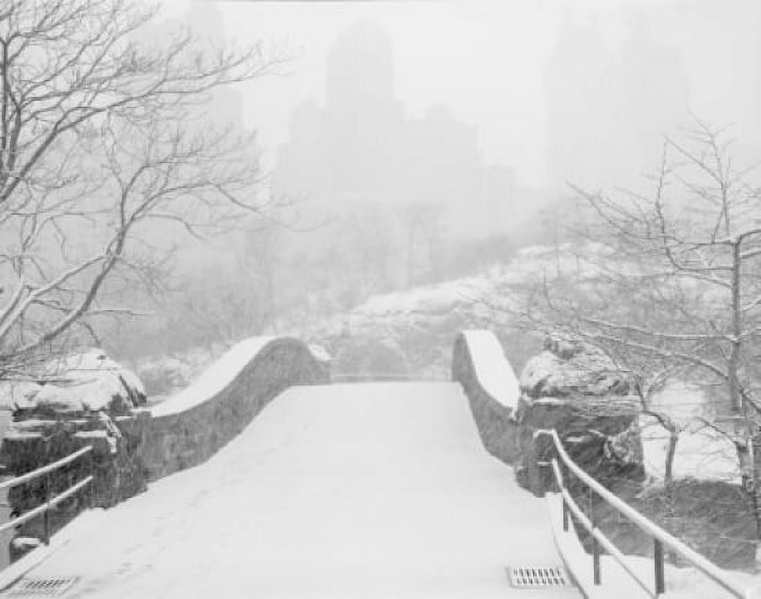 USA New York State New York City Central Park South skyline from Central Park Canvas Art - (24 x 36)