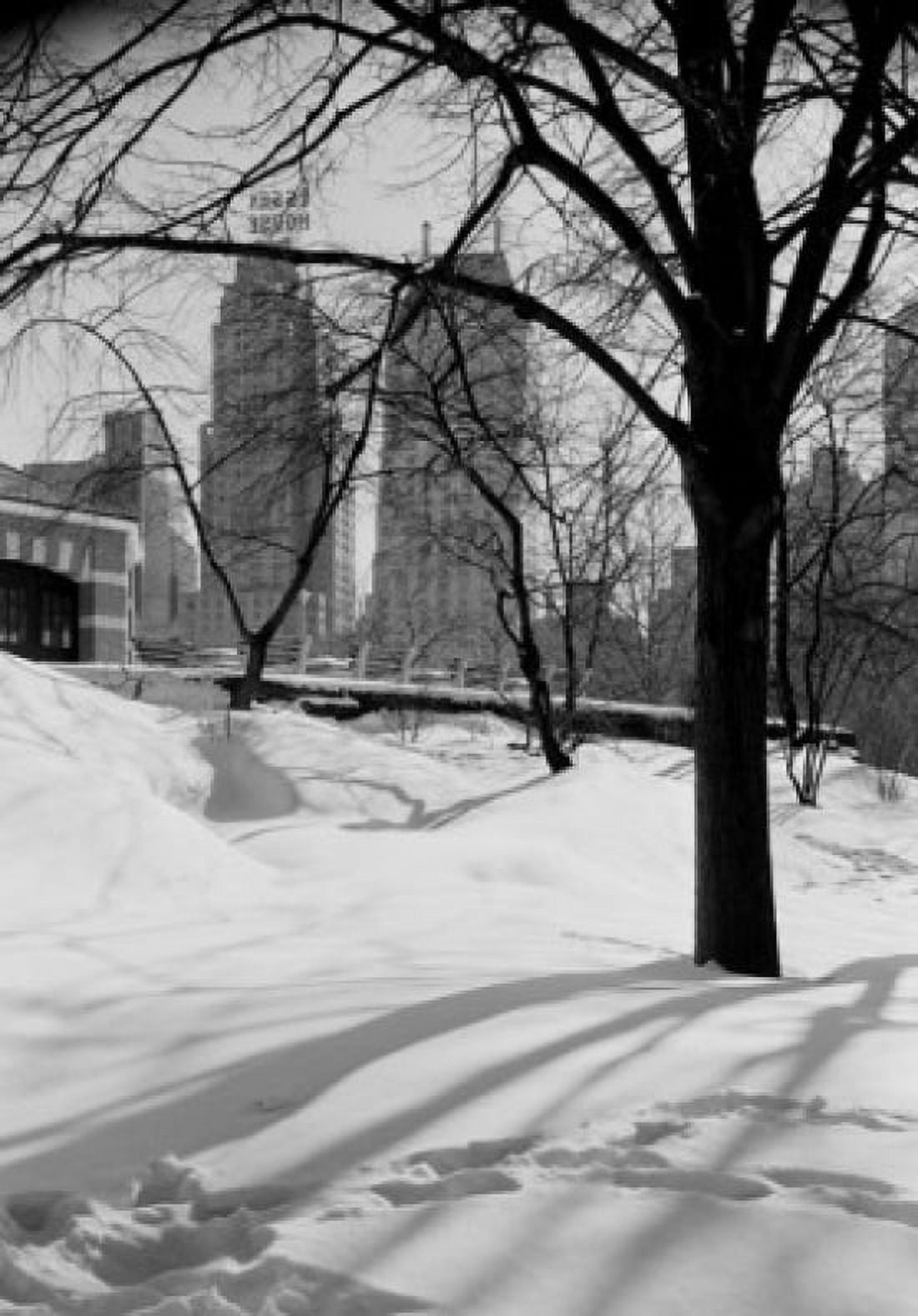USA New York State New York City Central Park with office buildings visible through trees Canvas Art -  (24 x 36)