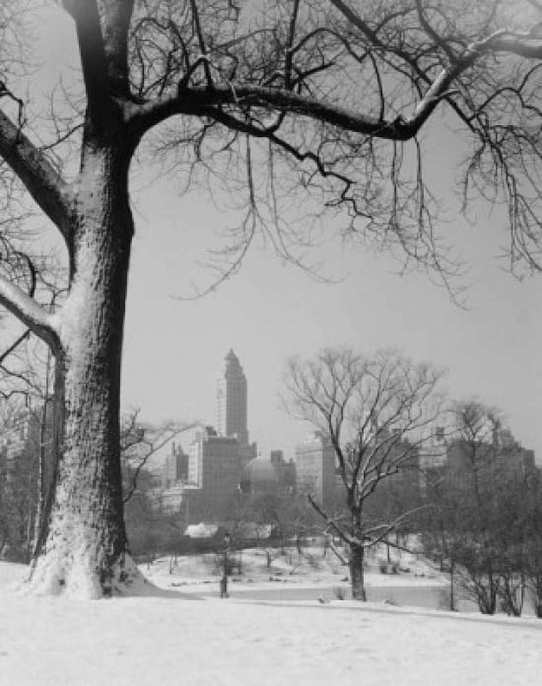 USA New York State New York City Downtown district seen through winter park Canvas Art - (18 x 24)