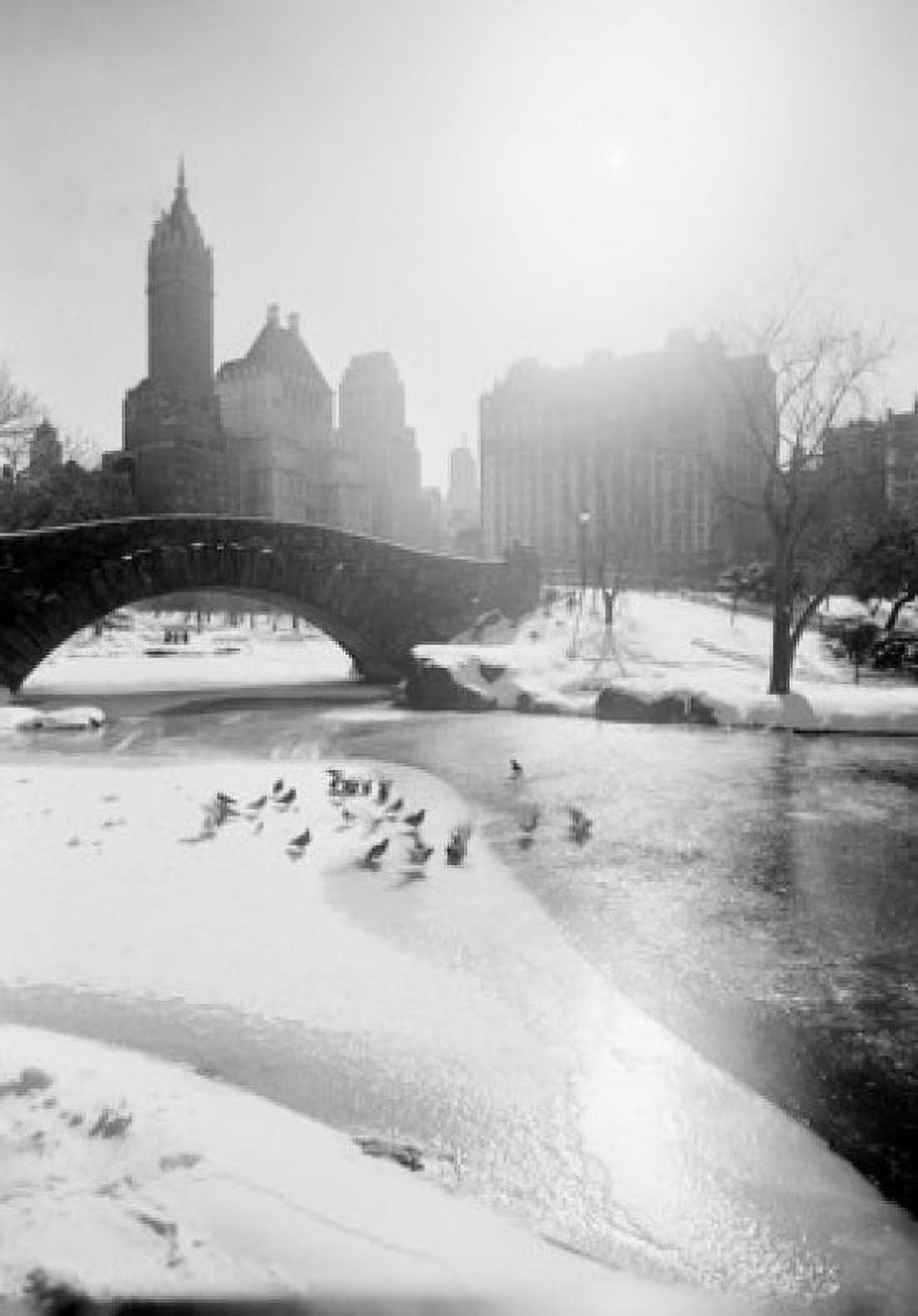 USA New York State New York City Fifth Avenue skyline from Central Park Canvas Art - (18 x 24)