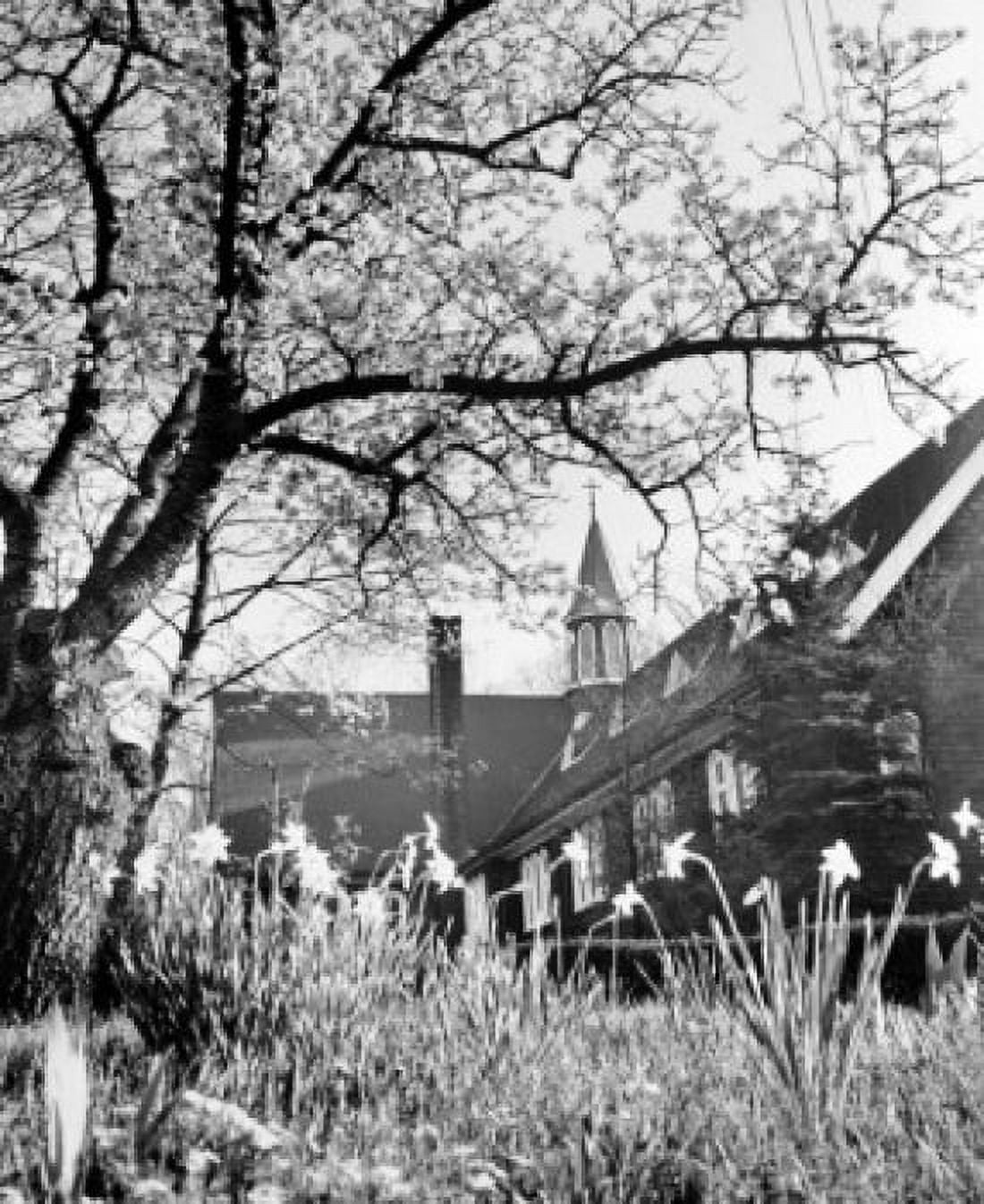 USA New York State New York City Long Island Easter Oyster Bay Building with blooming daffodils Canvas Art - (24 x 36)