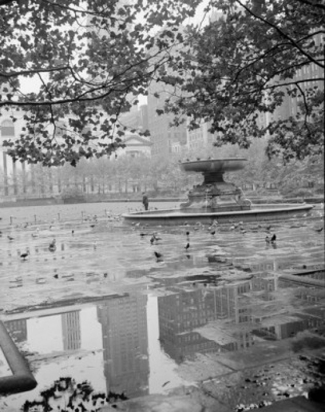 USA New York State New York City Pigeons and fountain man feeding birds in the background Canvas Art - (18 x 24)