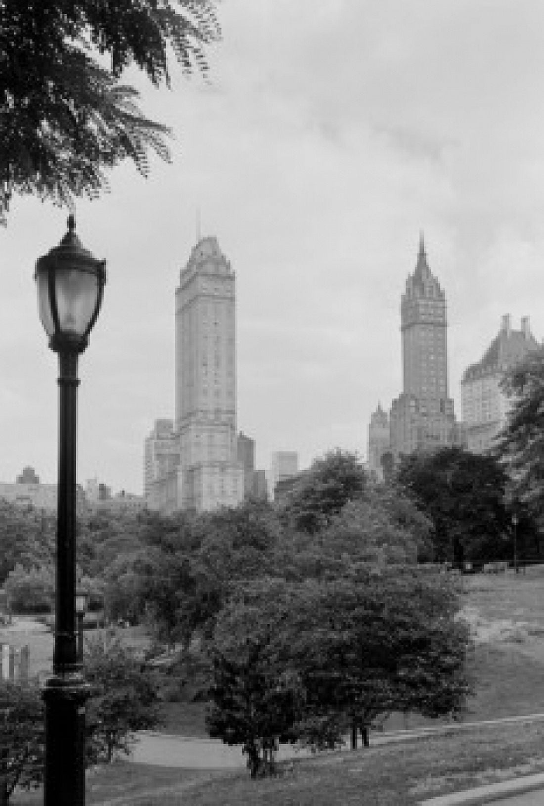 USA New York State New York City view of Fifth Avenue skyline from Central Park Canvas Art - (24 x 36)