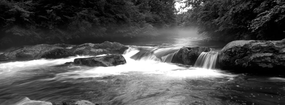 USA North Carolina Tennessee Great Smoky Mountains National Park Little Pigeon River River flowing through a forest Canvas Art - Panoramic Images (13 x 36)