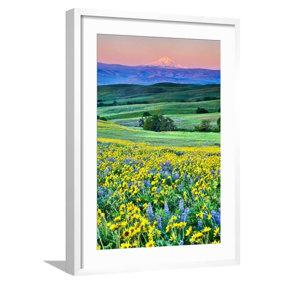 Art.com USA, Oregon, Columbia River Gorge landscape of field and Mt. Hood Photographic Print by Hollice Looney, White Frame Wall Art, 21" x 29"