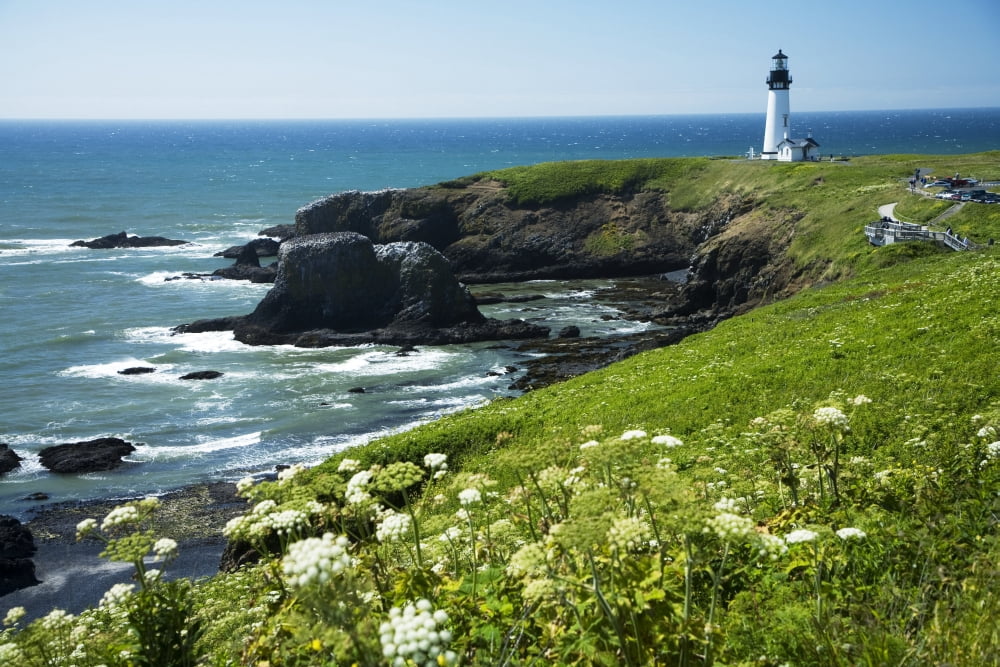 USA Oregon Yaquina Head Historic Lighthouse And Natural Wilderness Area Newport Canvas Art - Peter French  Design Pics (40 x 26)