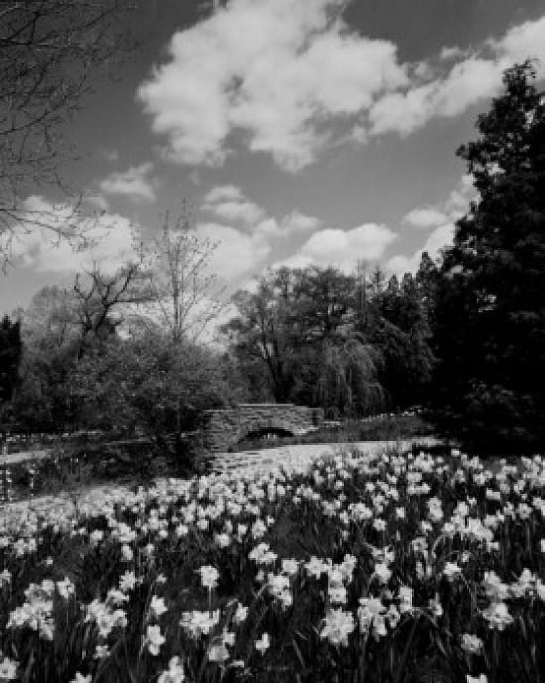 USA Pennsylvania Bucks County flower bed Canvas Art - (18 x 24)