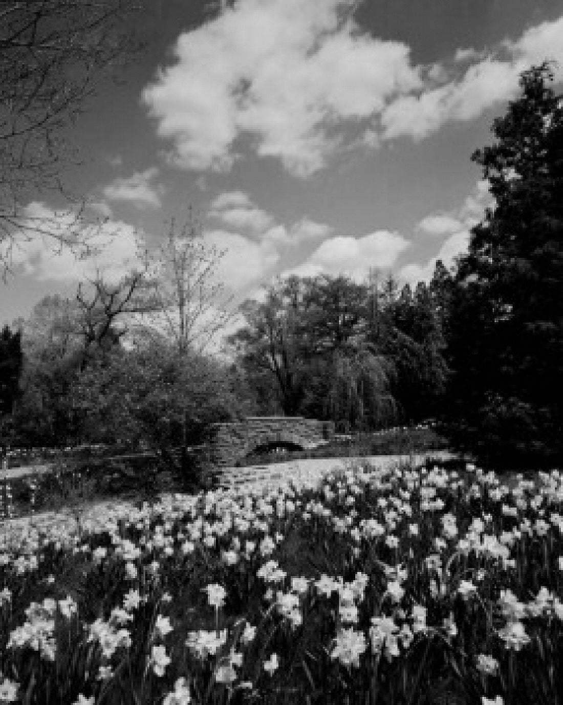 USA Pennsylvania Bucks County flower bed Canvas Art - (24 x 36)