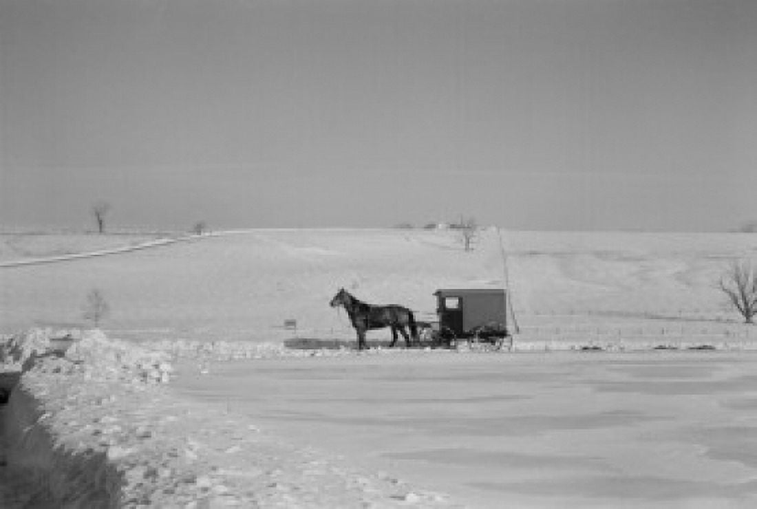 USA Pennsylvania Lancaster County horse pulling carriage through winter fled Canvas Art - (18 x 24)