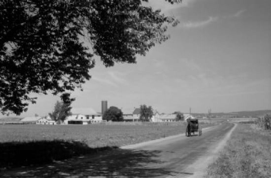USA Pennsylvania Lancaster County rural road Canvas Art - (24 x 36)
