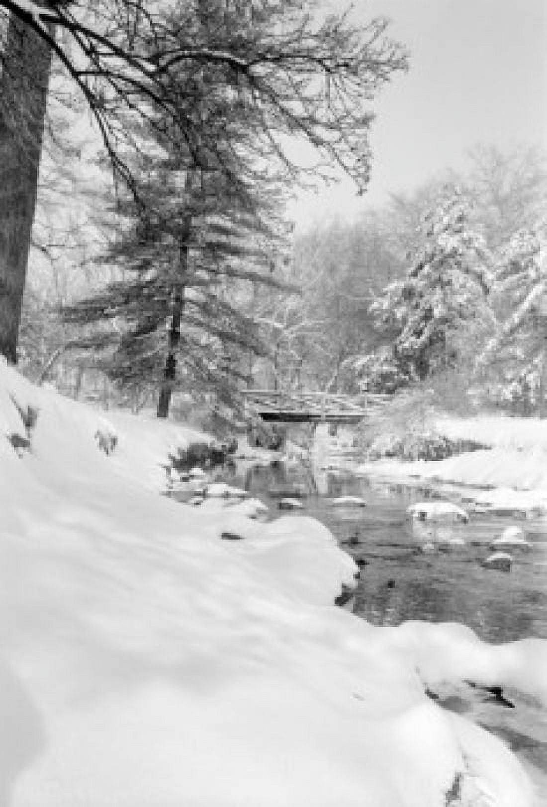 USA Pennsylvania Montgomery County Tookany Creek Winter brook Canvas Art - (24 x 36)