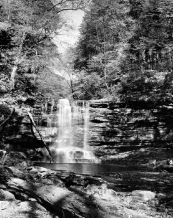 USA Pennsylvania Ricketts Glen State Park waterfall Canvas Art -  (18 x 24)