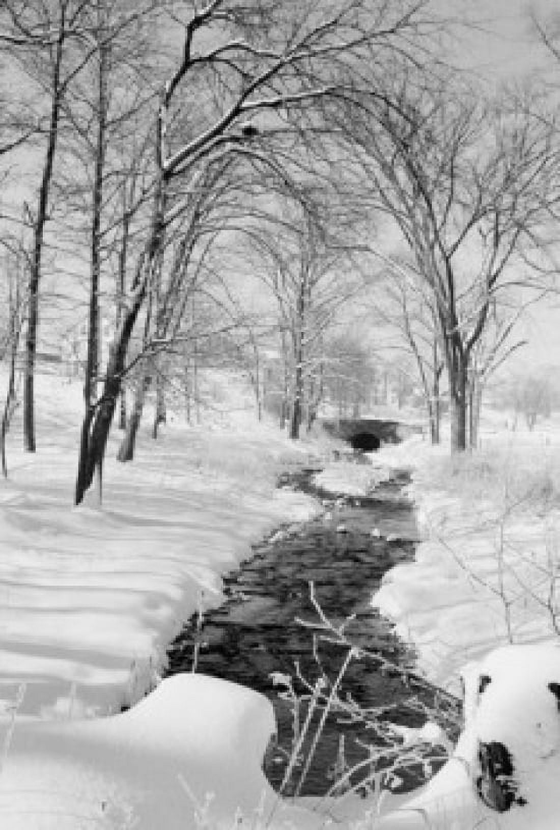 USA Pennsylvania brook in winter Canvas Art - (18 x 24)