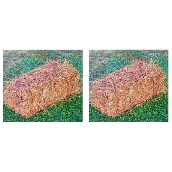 USA Pine Straw - Premium Pine Needle Mulch (Pine Needle Mulch - Covers 65-80 Sqft 2 Set)