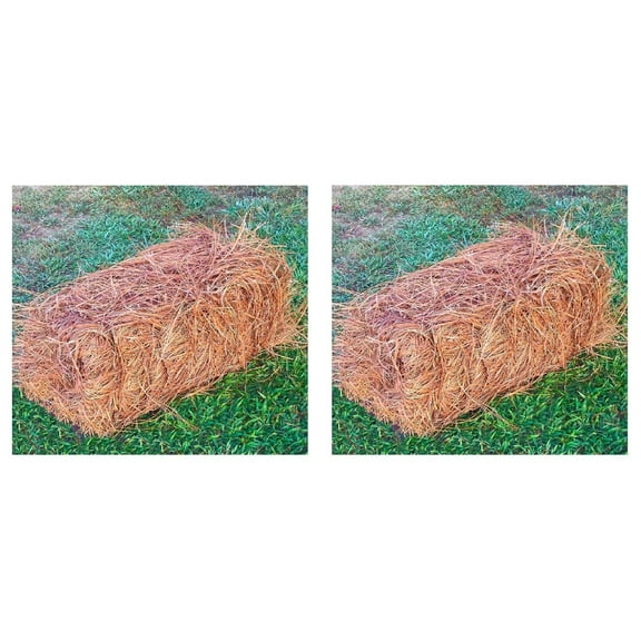USA Pine Straw - Premium Pine Needle Mulch (Pine Needle Mulch - Covers 65-80 Sqft 2 Set)