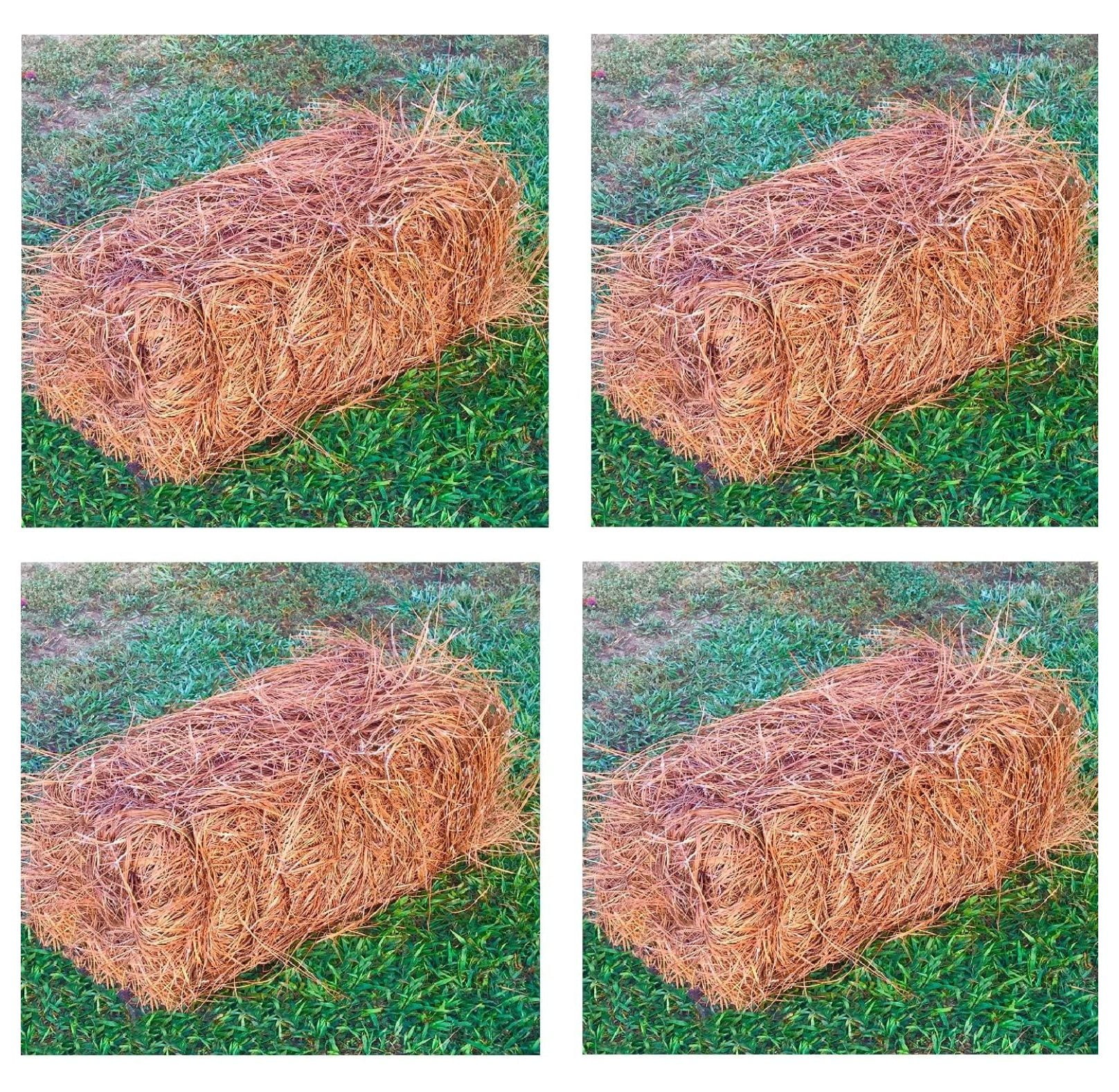 USA Pine Straw Premium Pine Needle Mulch (Pine Needle Mulch Covers