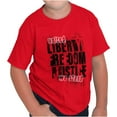 thumbnail image 1 of USA Pride Liberty Freedom and Justice Crewneck T Shirts Boy Girl Teen Brisco Brands X, 1 of 6