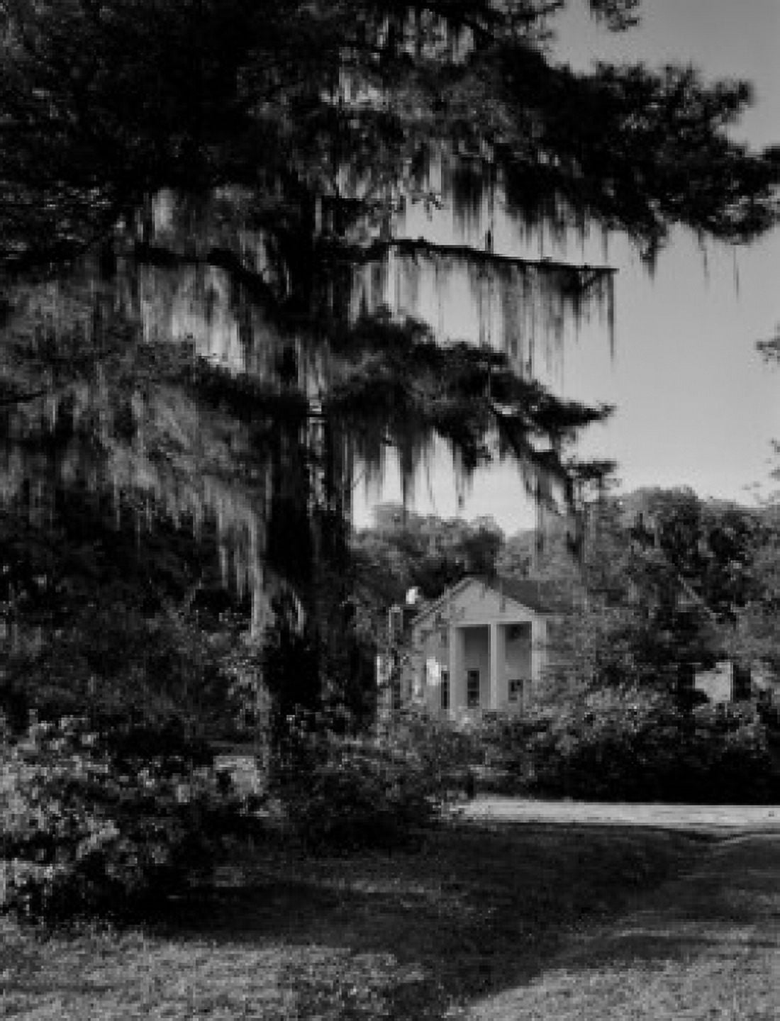 USA South Carolina near Charleston Mateeba Garden southern mansion home Canvas Art -  (18 x 24)