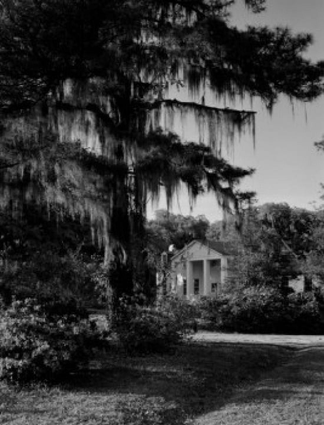USA South Carolina near Charleston Mateeba Garden southern mansion home Canvas Art -  (24 x 36)