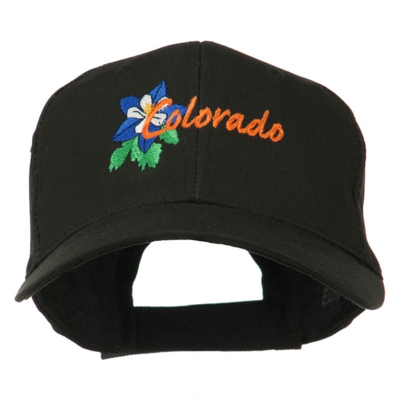 USA State Colorado Columbine Embroidered Low Profile Cotton Cap - Black OSFM
