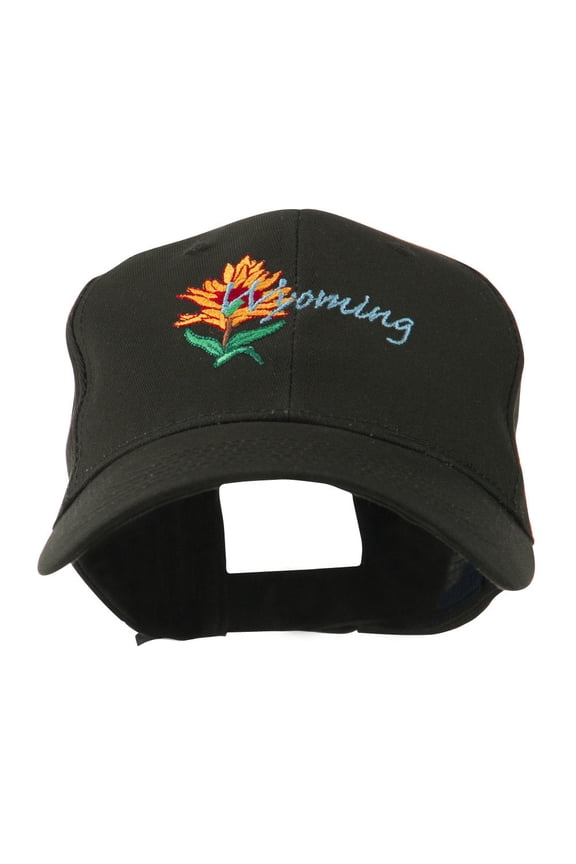 USA State Flower Wyoming Indian Paintbrush Embroidered Cap - Black OSFM