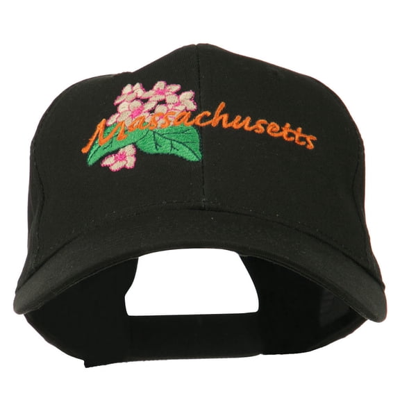 USA State Massachusetts Mayflower Embroidered Low Profile Cap - Black OSFM