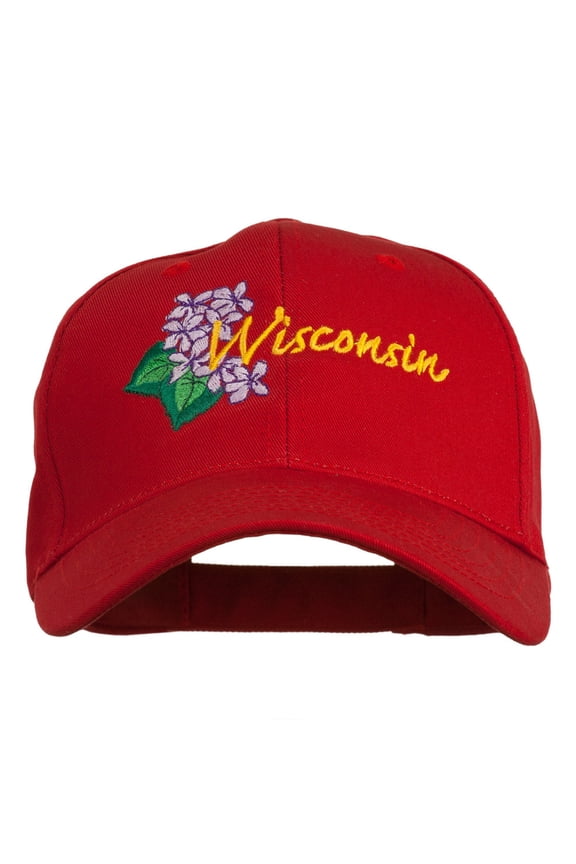 USA State Wisconsin Wood Violet Embroidered Low Profile Cap - Red OSFM