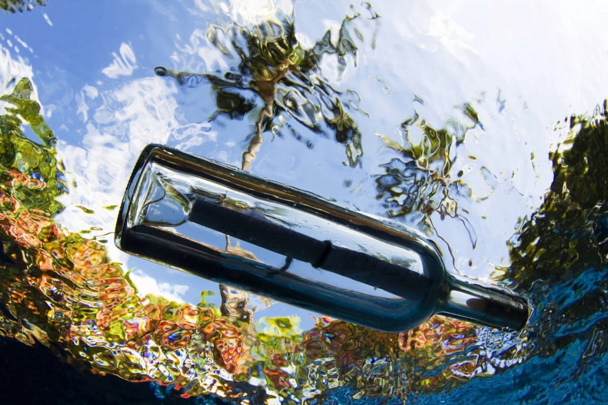USA Underwater View Of Message In Bottle Hawaii Islands Canvas Art - Dave Fleetham Design Pics (18 x 12)