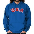 thumbnail image 1 of USA United States Patriotic 4th July Unisex Plus Fleece Graphic Hoodie Brisco Brands 3X, 1 of 6