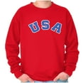thumbnail image 1 of USA United States Patriotic 4th July Unisex Plus Fleece Graphic Sweatshirt Brisco Brands 2X, 1 of 6