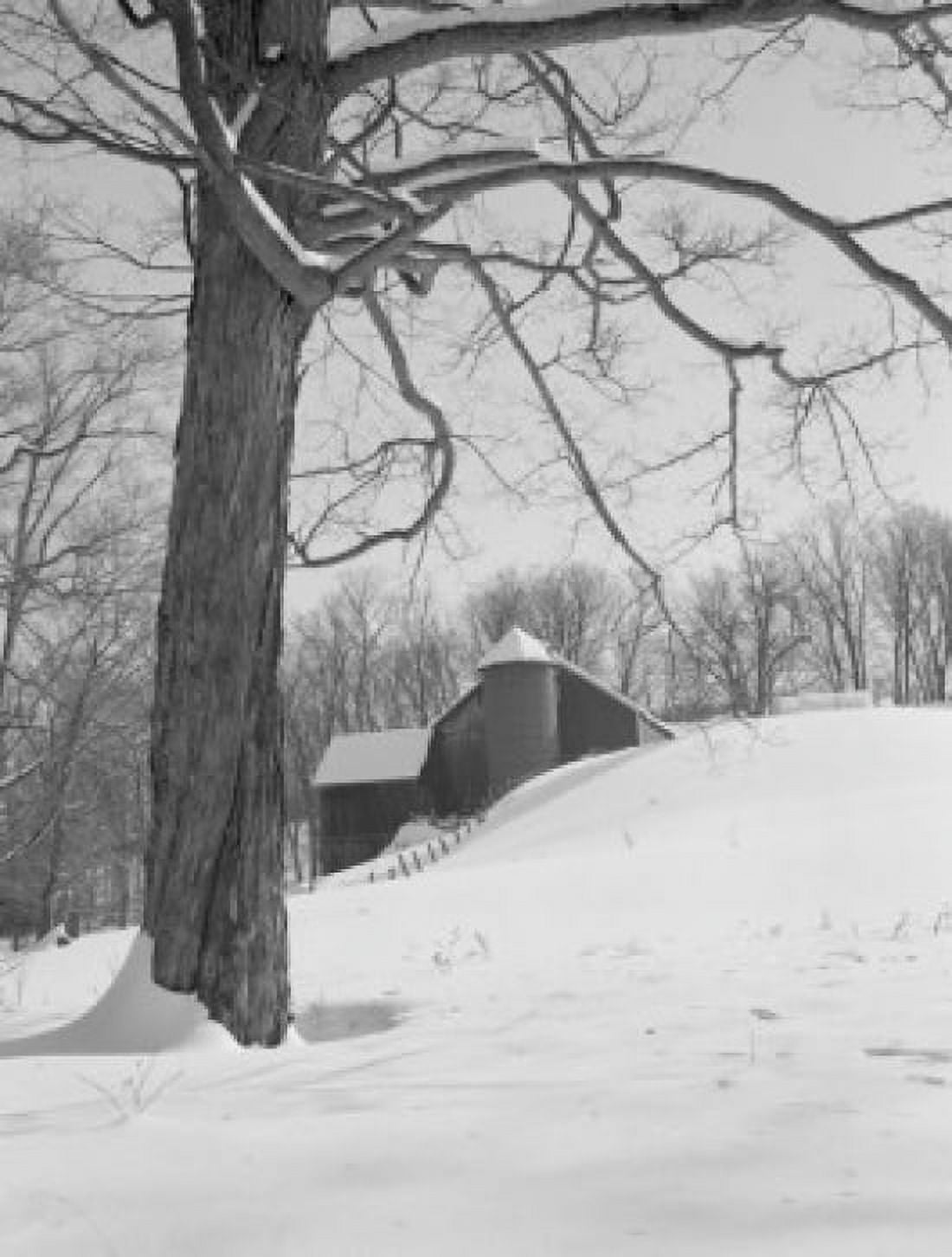 USA Vermont Barn and Silo Canvas Art - (24 x 36)