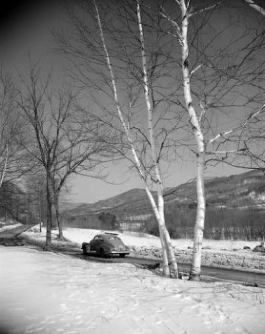 USA Vermont Bristol Car on birch lined road in snow Canvas Art - (18 x 24)