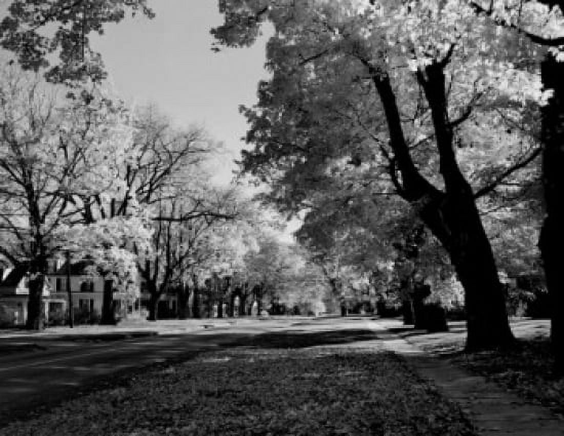 USA Vermont Manchester Main Street Canvas Art - (24 x 36)
