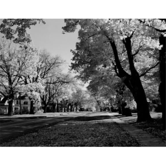 USA Vermont Manchester Main Street Poster Print 18 x 24 in.