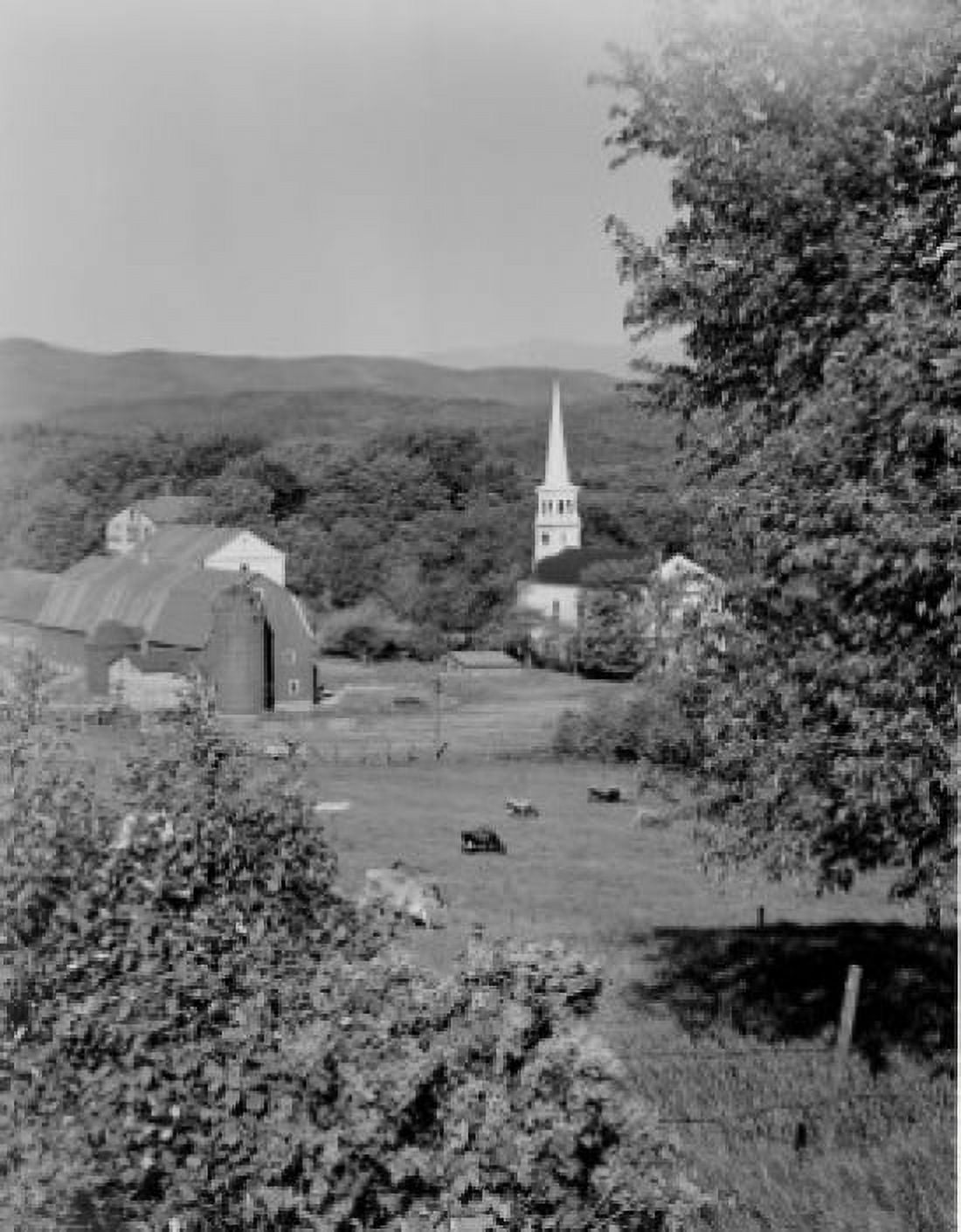 USA Vermont Peacham pastoral scene with lilacs and wild cherries in foreground Canvas Art - (18 x 24)